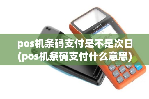 pos机条码支付是不是次日(pos机条码支付什么意思)