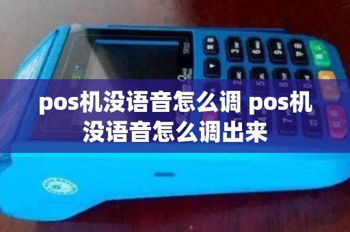 pos机没语音怎么调 pos机没语音怎么调出来