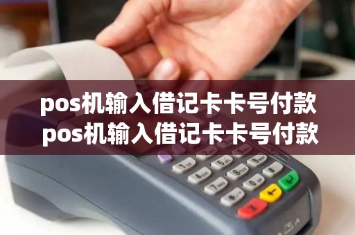pos机输入借记卡卡号付款 pos机输入借记卡卡号付款失败 pos机输入借记卡卡号付款 pos机输入借记卡卡号付款失败