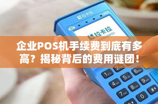 企业POS机手续费到底有多高？揭秘背后的费用谜团！