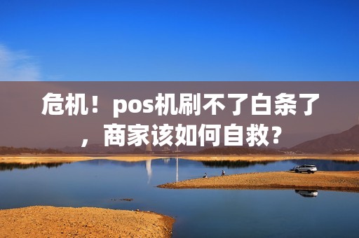 危机！pos机刷不了白条了，商家该如何自救？