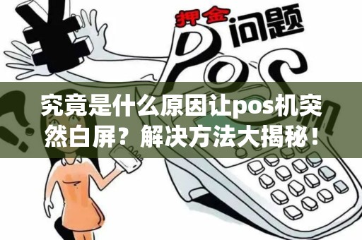 究竟是什么原因让pos机突然白屏？解决方法大揭秘！