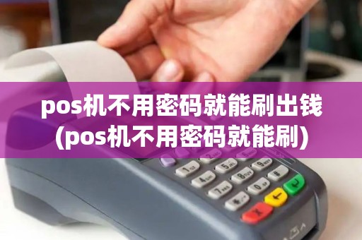pos机不用密码就能刷出钱(pos机不用密码就能刷)