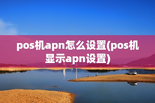 pos机apn怎么设置(pos机显示apn设置)