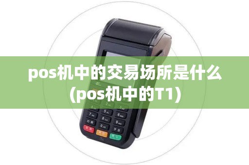 pos机中的交易场所是什么(pos机中的T1) pos机中的交易场所是什么(pos机中的T1)