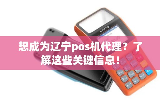 想成为辽宁pos机代理？了解这些关键信息！