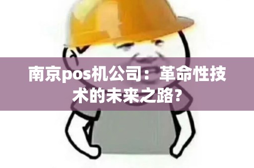 南京pos机公司：革命性技术的未来之路？