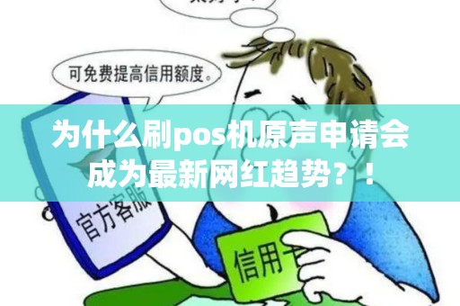 为什么刷pos机原声申请会成为最新网红趋势？！