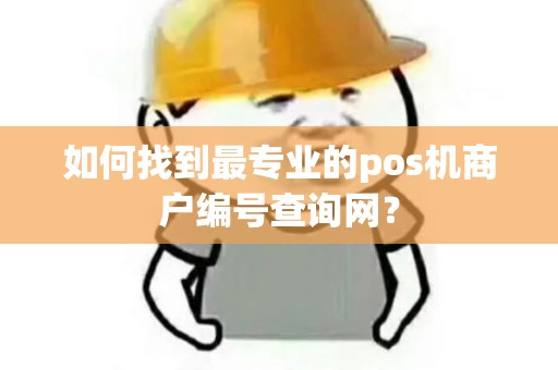如何找到最专业的pos机商户编号查询网？
