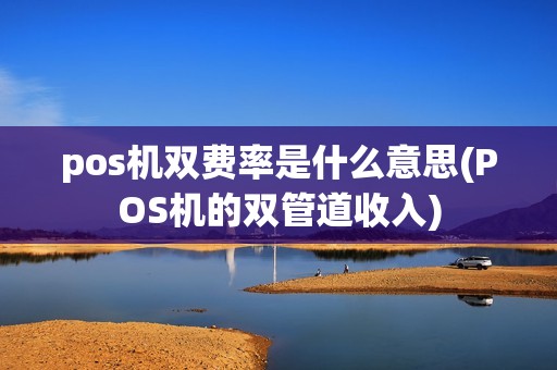 pos机双费率是什么意思(POS机的双管道收入) pos机双费率是什么意思(POS机的双管道收入)