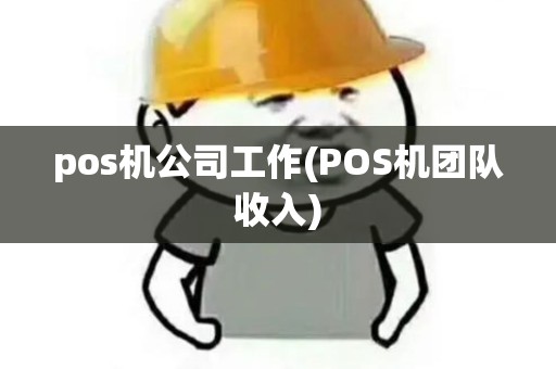 pos机公司工作(POS机团队收入)