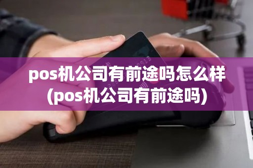 pos机公司有前途吗怎么样(pos机公司有前途吗) pos机公司有前途吗怎么样(pos机公司有前途吗)