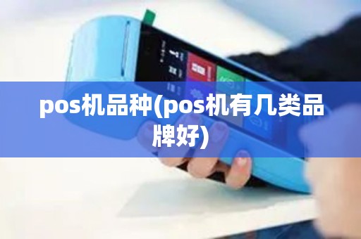 pos机品种(pos机有几类品牌好) pos机品种(pos机有几类品牌好)