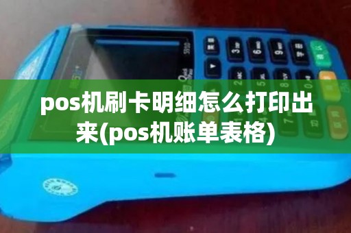 pos机刷卡明细怎么打印出来(pos机账单表格)