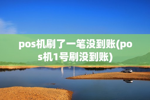 pos机刷了一笔没到账(pos机1号刷没到账)