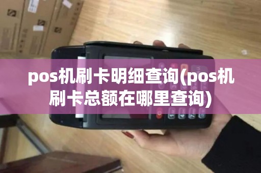 pos机刷卡明细查询(pos机刷卡总额在哪里查询)