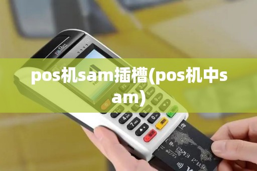 pos机sam插槽(pos机中sam)