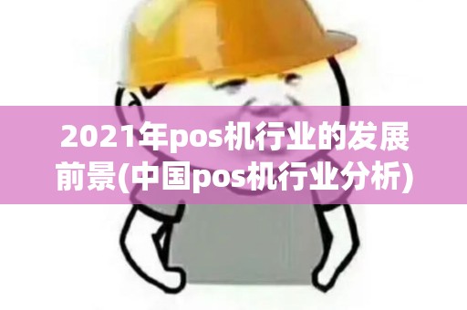 2021年pos机行业的发展前景(中国pos机行业分析)