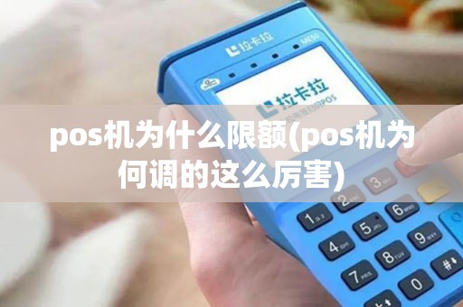 pos机为什么限额(pos机为何调的这么厉害) pos机为什么限额(pos机为何调的这么厉害)