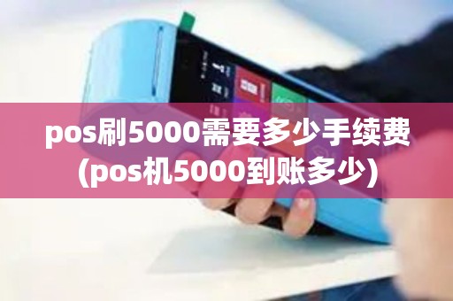 pos刷5000需要多少手续费(pos机5000到账多少)