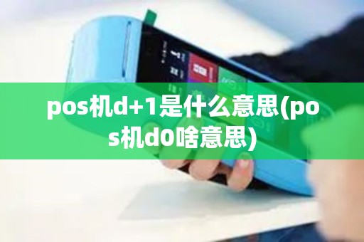 pos机d+1是什么意思(pos机d0啥意思)