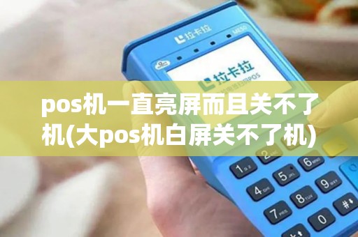 pos机一直亮屏而且关不了机(大pos机白屏关不了机)