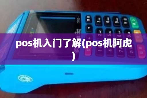 pos机入门了解(pos机阿虎)