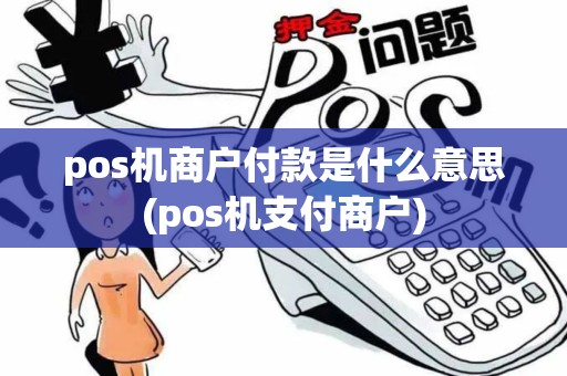 pos机商户付款是什么意思(pos机支付商户)
