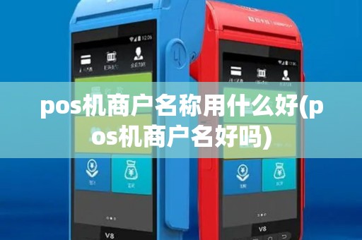 pos机商户名称用什么好(pos机商户名好吗)