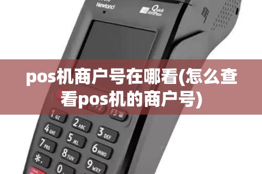 pos机商户号在哪看(怎么查看pos机的商户号) pos机商户号在哪看(怎么查看pos机的商户号)
