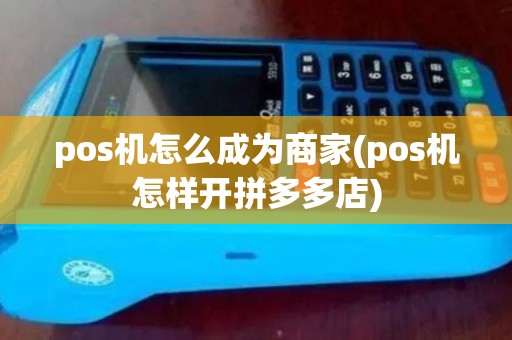 pos机怎么成为商家(pos机怎样开拼多多店)