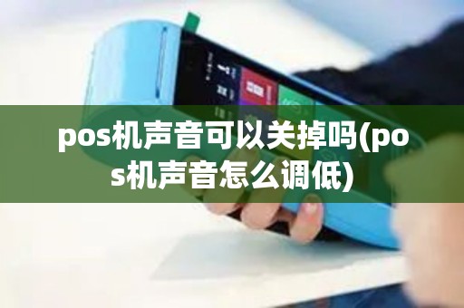 pos机声音可以关掉吗(pos机声音怎么调低)