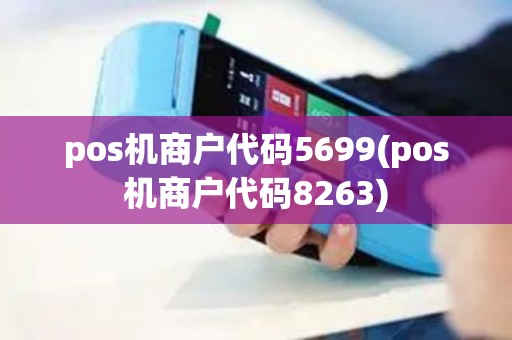 pos机商户代码5699(pos机商户代码8263)