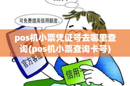 pos机小票凭证号去哪里查询(pos机小票查询卡号)