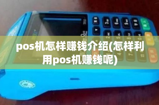 pos机怎样赚钱介绍(怎样利用pos机赚钱呢)