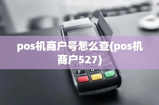pos机商户号怎么查(pos机商户527) pos机商户号怎么查(pos机商户527)
