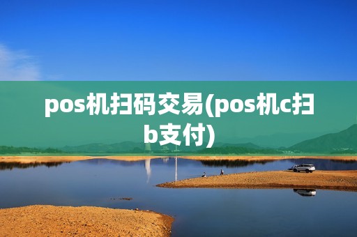 pos机扫码交易(pos机c扫b支付)