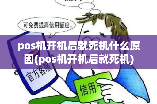 pos机开机后就死机什么原因(pos机开机后就死机)
