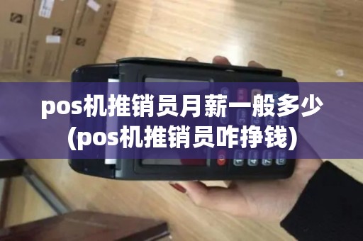 pos机推销员月薪一般多少(pos机推销员咋挣钱) pos机推销员月薪一般多少(pos机推销员咋挣钱)