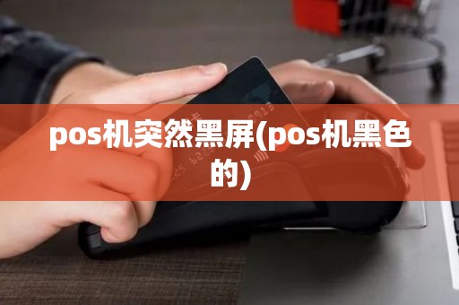pos机突然黑屏(pos机黑色的)
