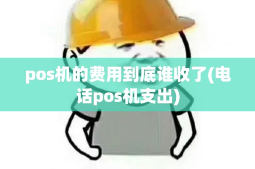 pos机的费用到底谁收了(电话pos机支出)