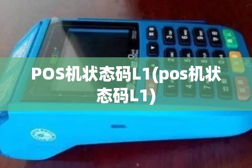 POS机状态码L1(pos机状态码L1) POS机状态码L1(pos机状态码L1)