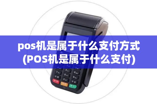 pos机是属于什么支付方式(POS机是属于什么支付) pos机是属于什么支付方式(POS机是属于什么支付)