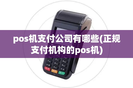 pos机支付公司有哪些(正规支付机构的pos机) pos机支付公司有哪些(正规支付机构的pos机)