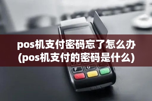 pos机支付密码忘了怎么办(pos机支付的密码是什么) pos机支付密码忘了怎么办(pos机支付的密码是什么)