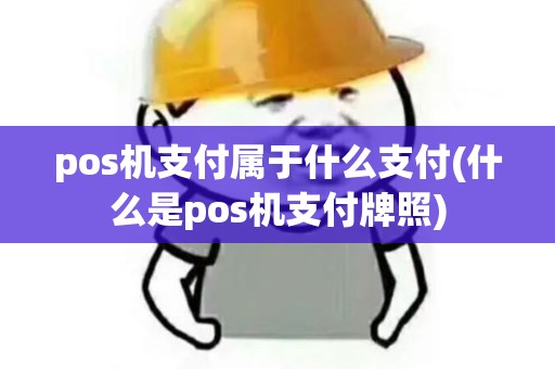 pos机支付属于什么支付(什么是pos机支付牌照) pos机支付属于什么支付(什么是pos机支付牌照)