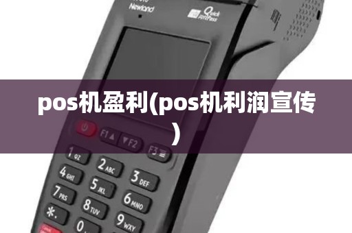 pos机盈利(pos机利润宣传)