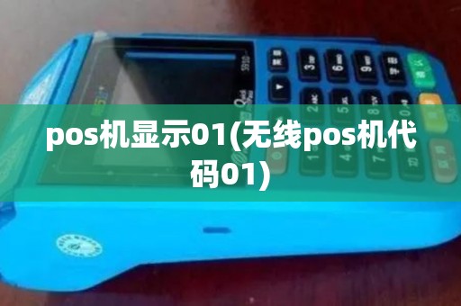 pos机显示01(无线pos机代码01)