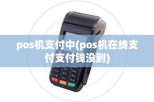 pos机支付中(pos机在线支付支付钱没到)
