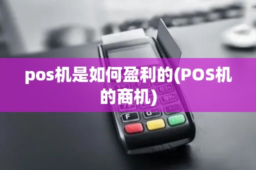 pos机是如何盈利的(POS机的商机)